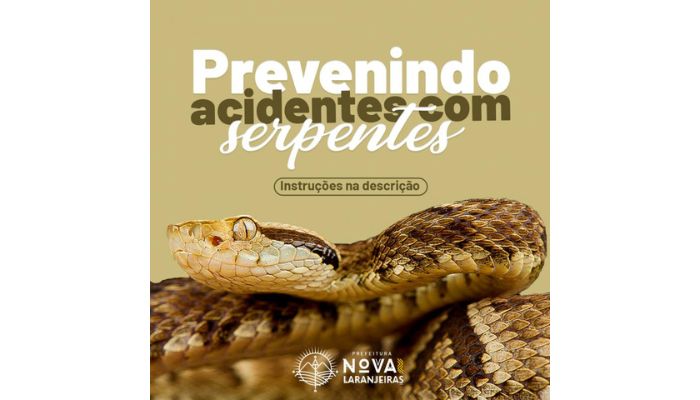 Nova Laranjeiras - Prevenindo acidentes com serpentes 
